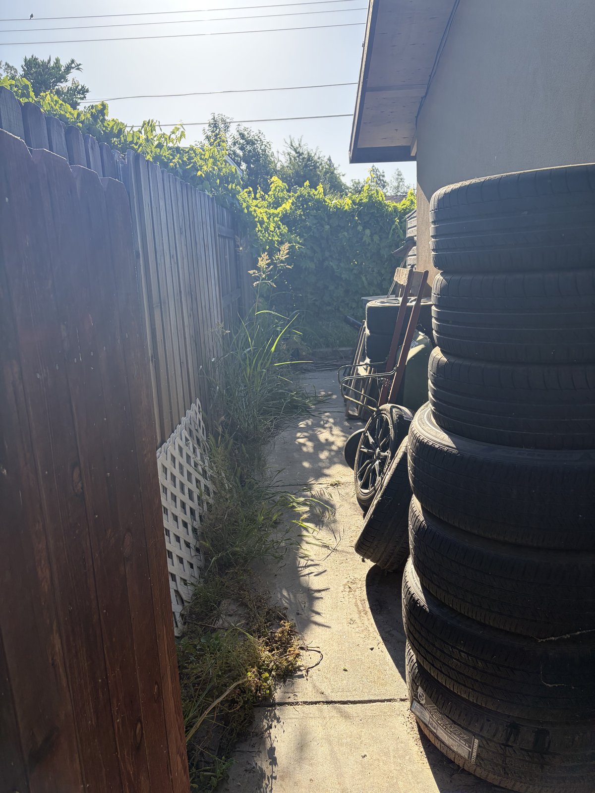Dump Runs