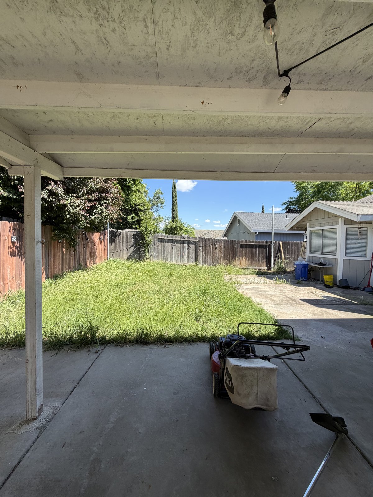 Covered-patio backyard overgrown with tall grass before service