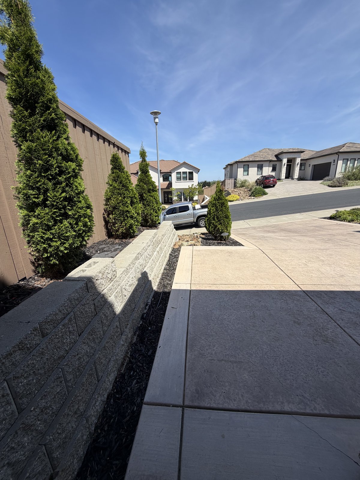 Paver walkway running alongside a block retaining wall and arborvitae